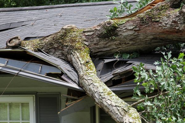 Storm Remediation in Owasso